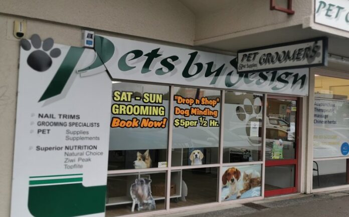 5 Best Dog Grooming in Tauranga磊