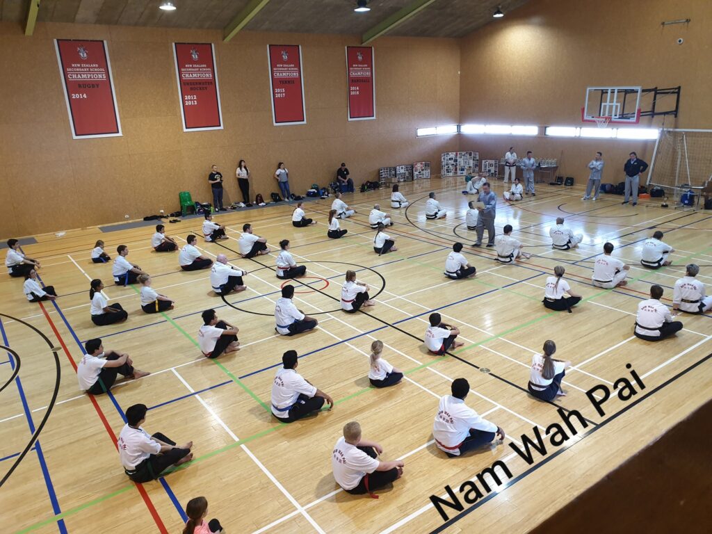 Nam Wah Pai Kung Fu (Hamilton)