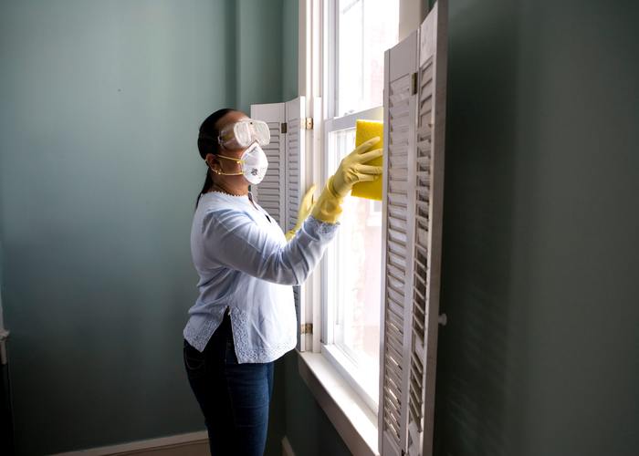Window Cleaning Wellington Pros