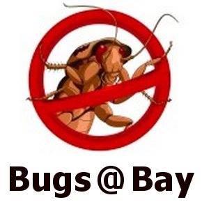 Bugs @ Bay