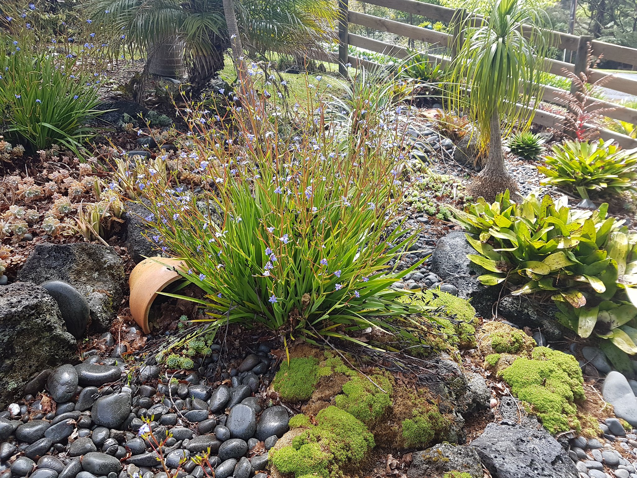 5 Best Landscaping Companies in Auckland磊