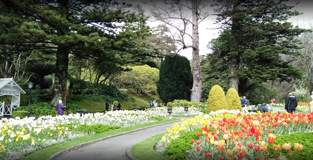 5 Best Places To Visit in Wellington磊