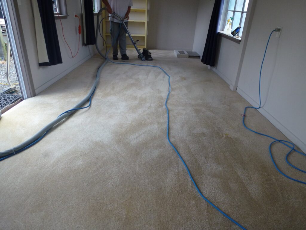 The Carpet Cleaner