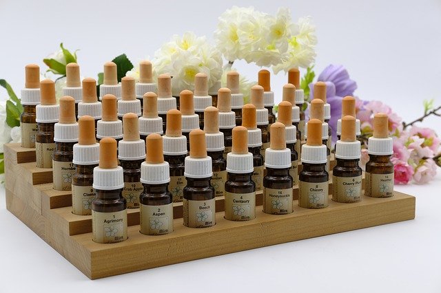 5 Best Naturopathy in Auckland