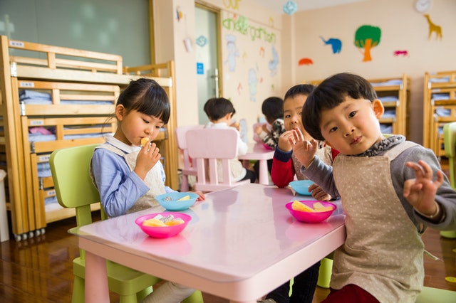 5 Best Preschools in Auckland