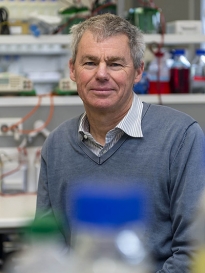 Professor Graham Le Gros - Malaghan Institute of Medical Research