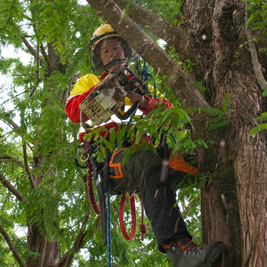 Treetech Specialist Treecare
